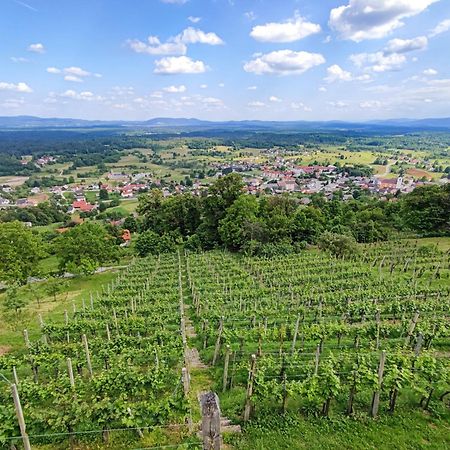 Zidanica-Vineyard Cottage Jakse Semic Eksteriør bilde