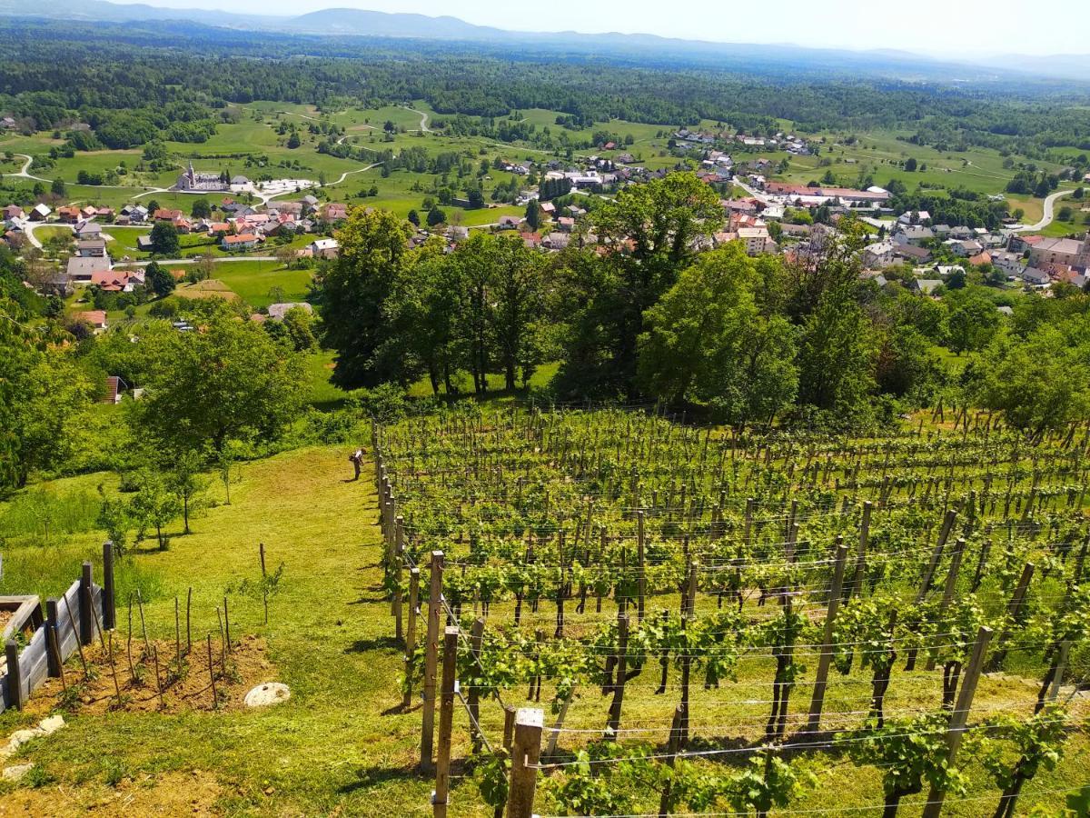 Zidanica-Vineyard Cottage Jakse Semic Eksteriør bilde