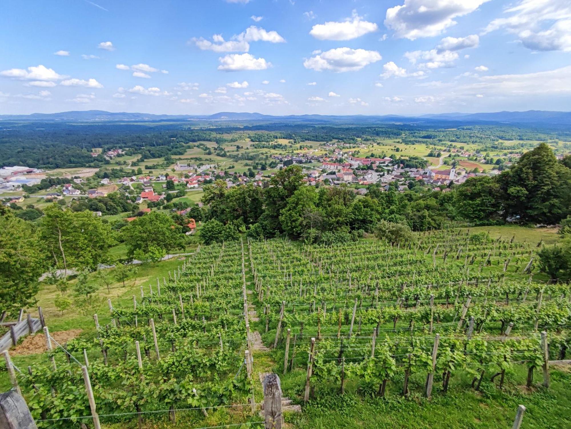 Zidanica-Vineyard Cottage Jakse Semic Eksteriør bilde